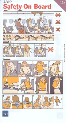 sas a319 16a.jpg